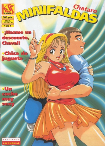 Minifaldas 1 de 4 cover