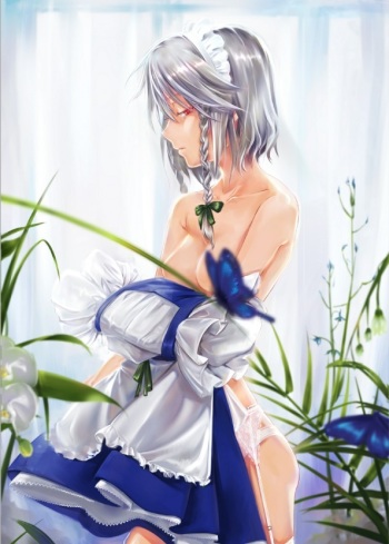 Touhou pics collection from pixiv vol2 cover
