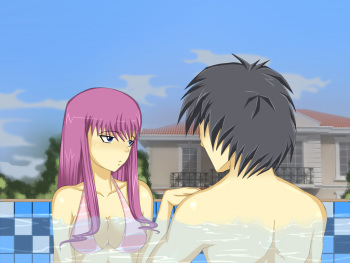 swimming pool cover