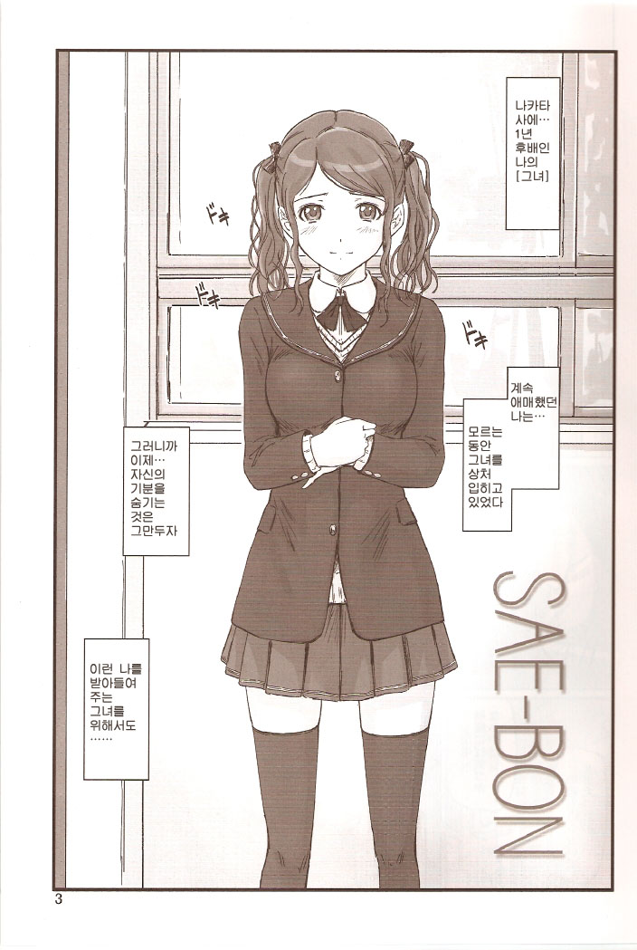 SAE-BON page 2 full