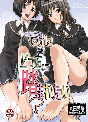 Kimi wa Docchi ni Fumaretai? cover