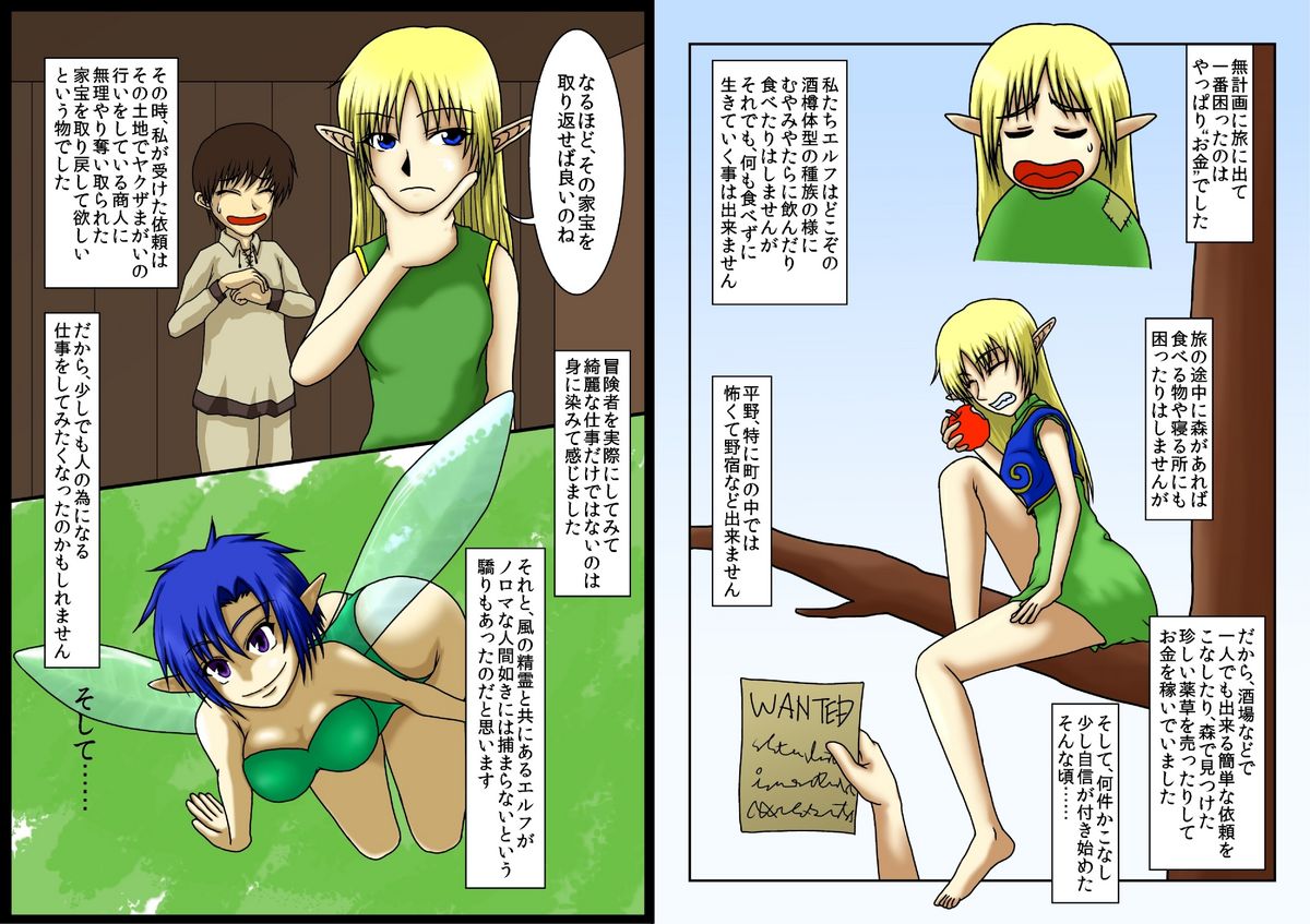 Toaru Deedlit no Choukyou Nisshi page 3 full