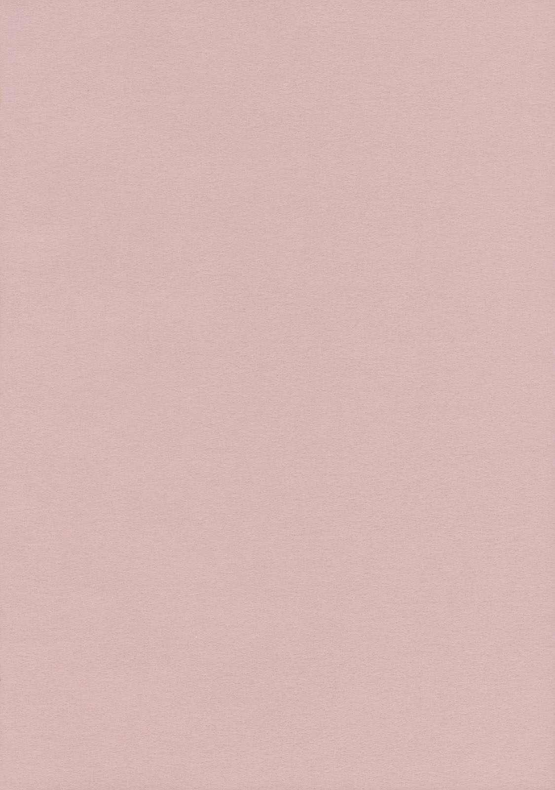 Lunchi Pack page 2 full