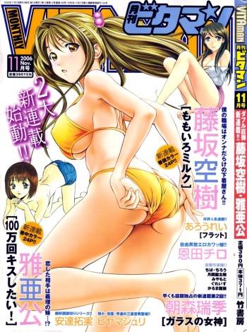 Monthly Vitaman 2006-11 cover