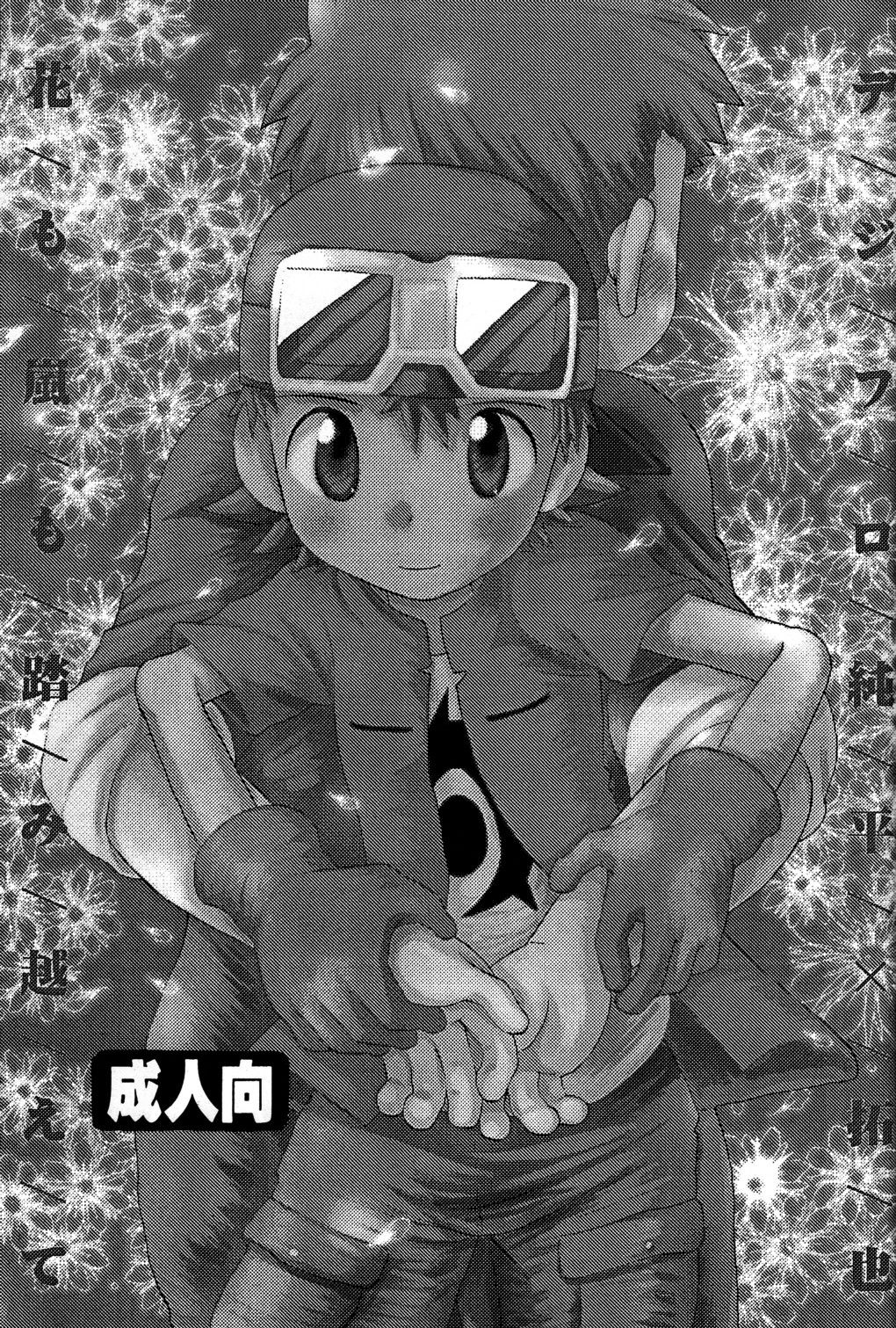 Hana mo Arashi mo Fumikoete page 3 full