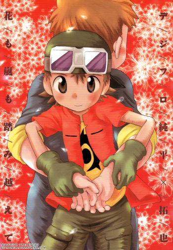 Hana mo Arashi mo Fumikoete cover