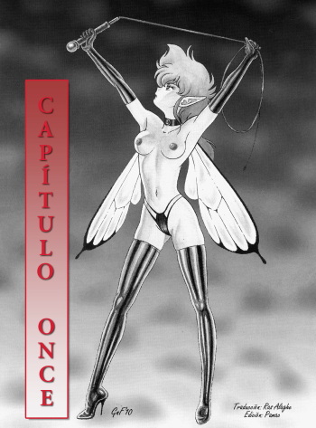 Bondage Fairies The Original Cap. 11 cover