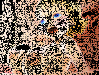 GIF Huge pack cover