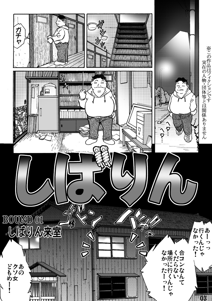 Shibarin page 3 full