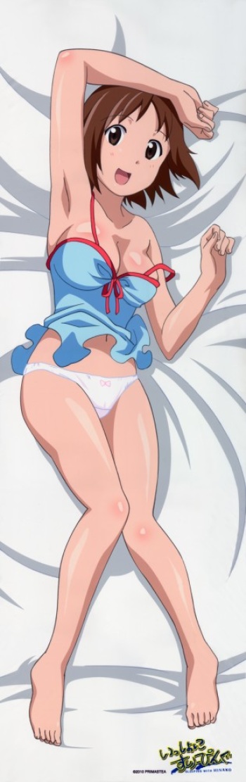 dakimakura hug pillow 11 cover