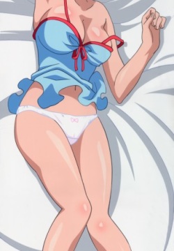 dakimakura hug pillow 11