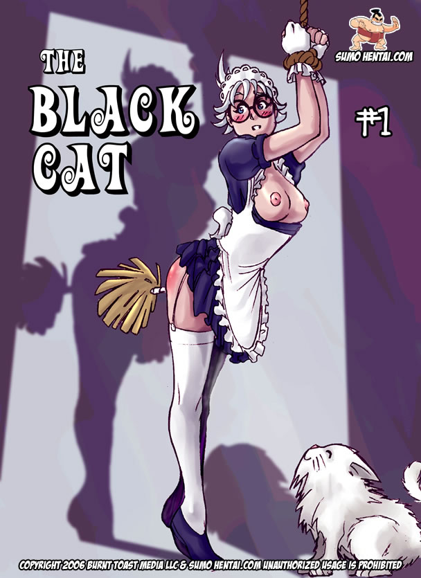 The Black Cat #1 page 1 full