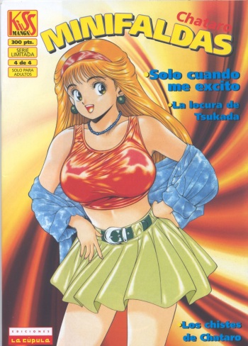 Minifaldas 4 de 4 cover
