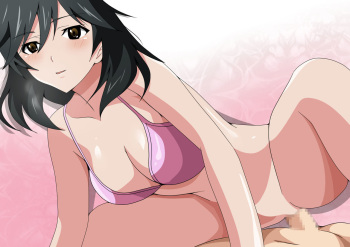 Infinite Stratos Pack 03 cover