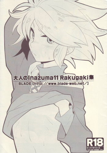 Otona no Inazuma11 Rakugaki Shuu cover