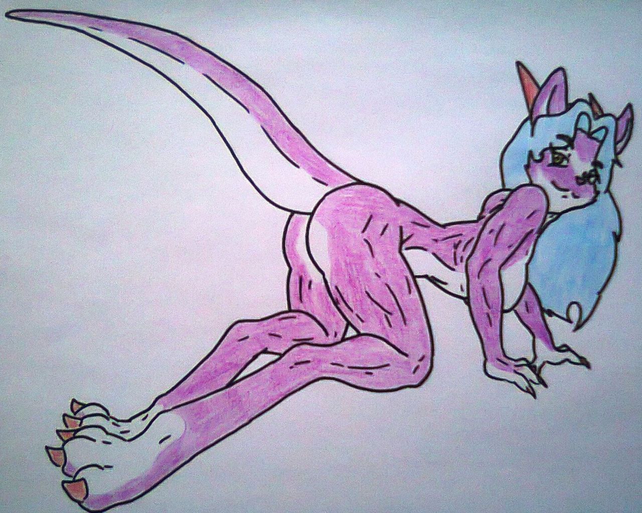 MainNM-e Second Gallery- FURRY page 5 full