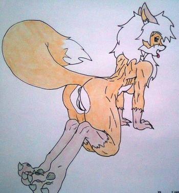 MainNM-e Second Gallery- FURRY cover