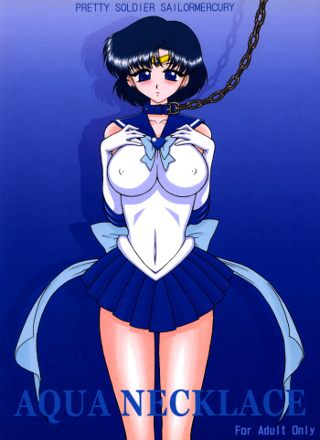 Aqua Necklace cover