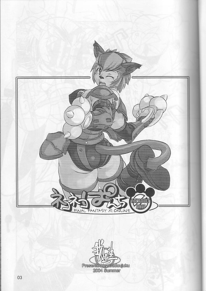 Neko Neko Punch page 2 full