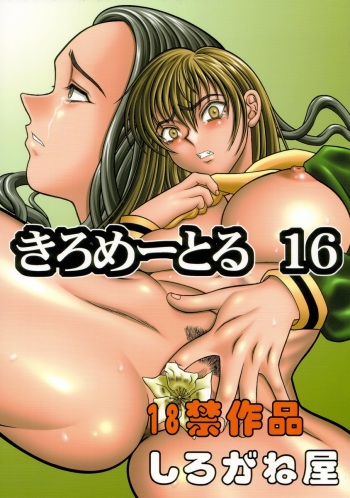 Kilometer 16 cover