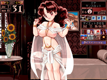 PRINCESS MAKER 2 cover