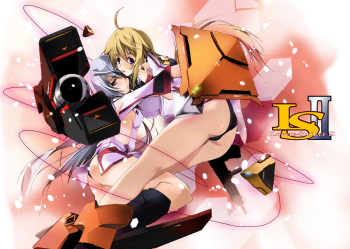 LS Lovers Striker II cover