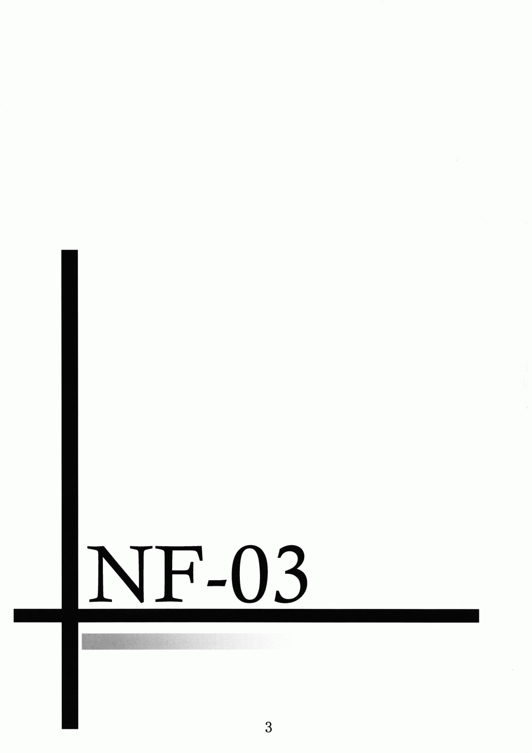 NF-03 page 2 full