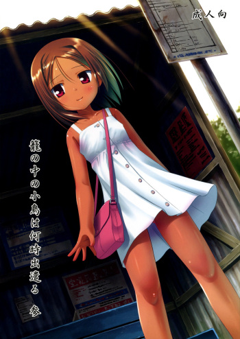 Kago no Naka no Kotori wa Itsu Deyaru 3 | When Will The Caged Bird Be Released 3  =LWB= cover