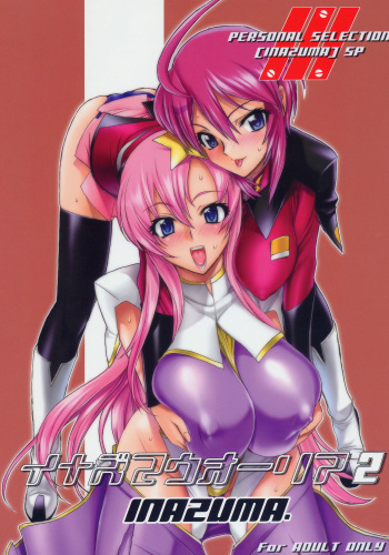 Inazuma Warrior 2 cover