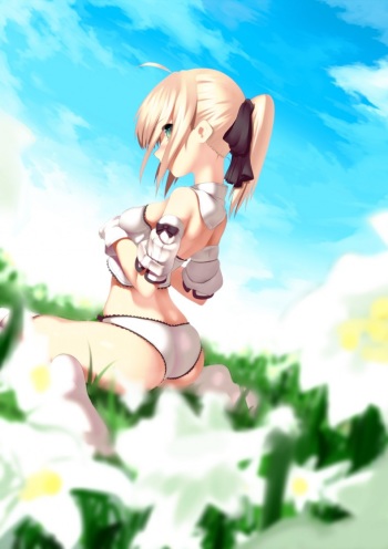 Fate/Stay Night cover