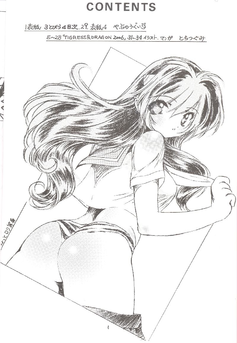 NDL 3.5 Tigress &amp; Dragon 2006 page 3 full