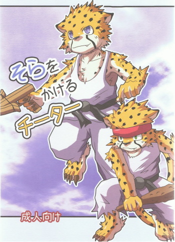 Sora o Kakeru Cheetah cover