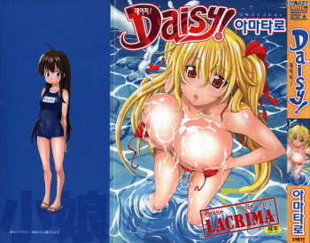 Daisy! cover