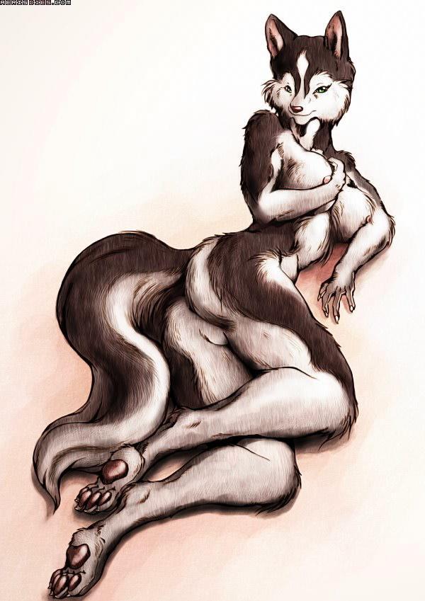 Furry gallery 3 page 2 full