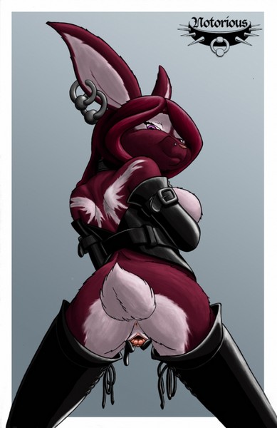 Furry Gallery Art By Notorious page 5 full