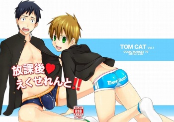 Houkago Excellent cover