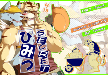 Himitsu cover