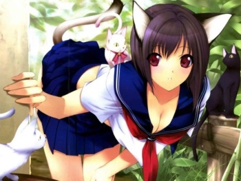 Furry Cats &amp; Dogs 2 cover