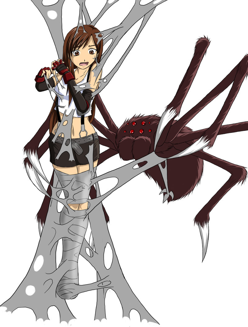 spider web galeia page 4 full