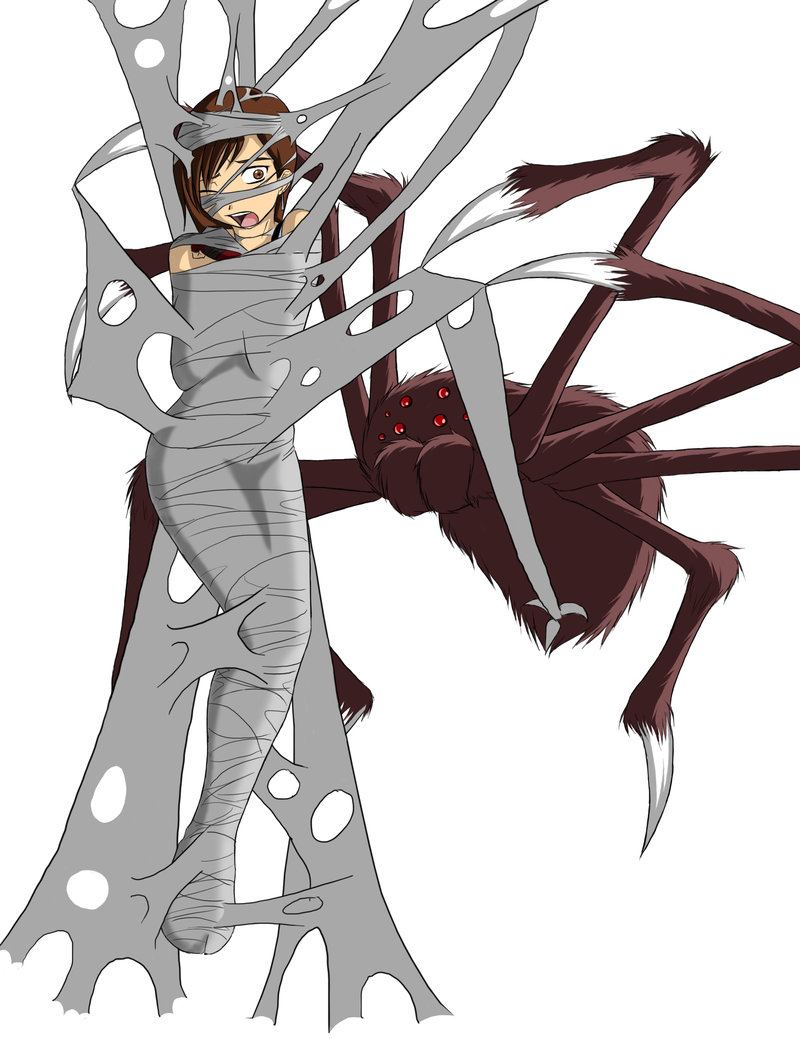 spider web galeia page 5 full