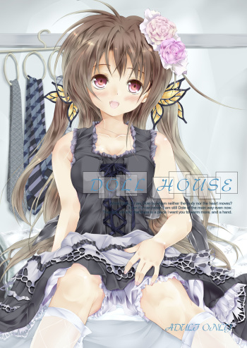 Doll House cover