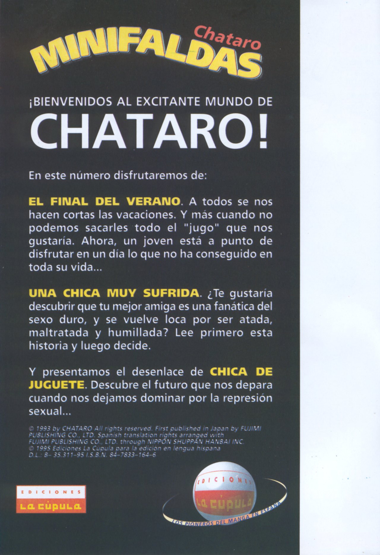 Minifaldas 3  de 4 page 2 full