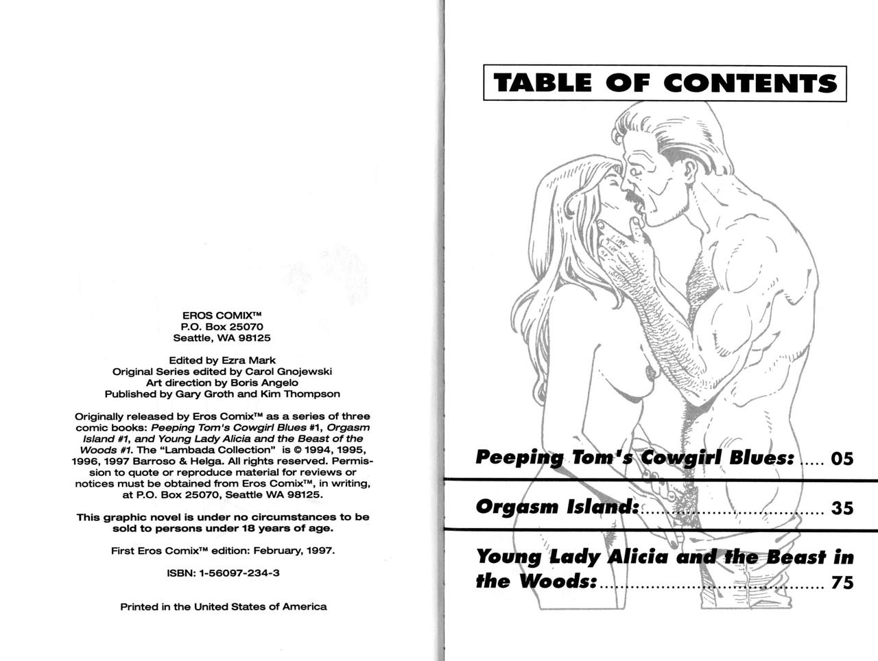 The Lambada Collection #3 page 3 full