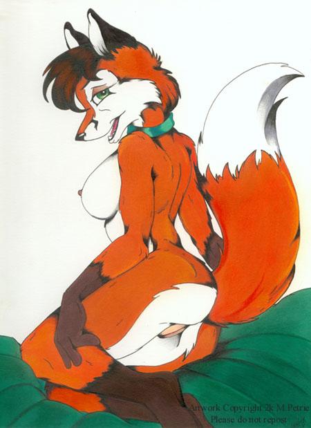 furry pics "13" page 9 full