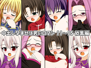 Nakadashi Haramase wa Otoko no Roman 11~15 Soushuuhen cover