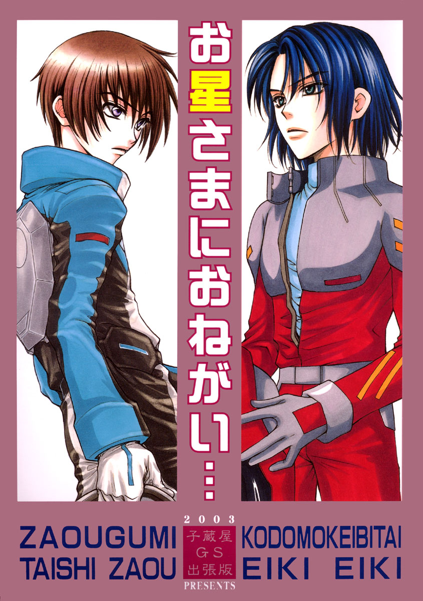 Gundam Seed DJ Ohoshisama ni Onegai page 1 full