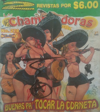 Chambeadoras #247 cover