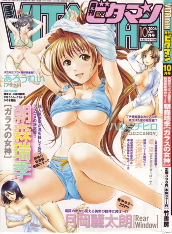 Monthly Vitaman 2006-10 cover