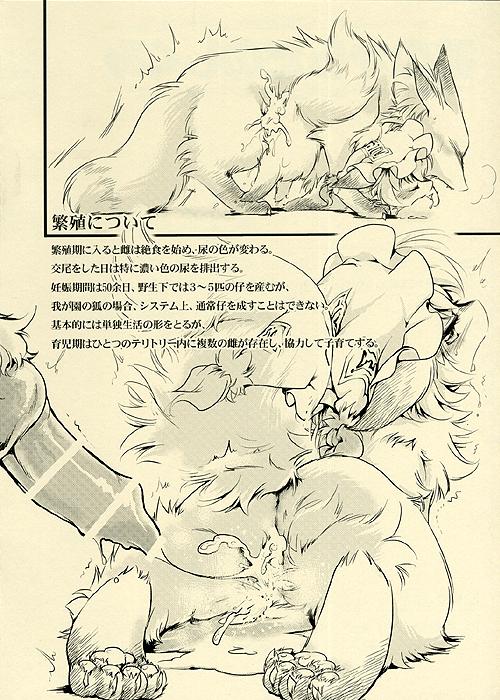 WILD ANIMALS page 5 full