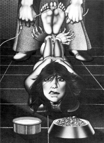 The Bishop cover